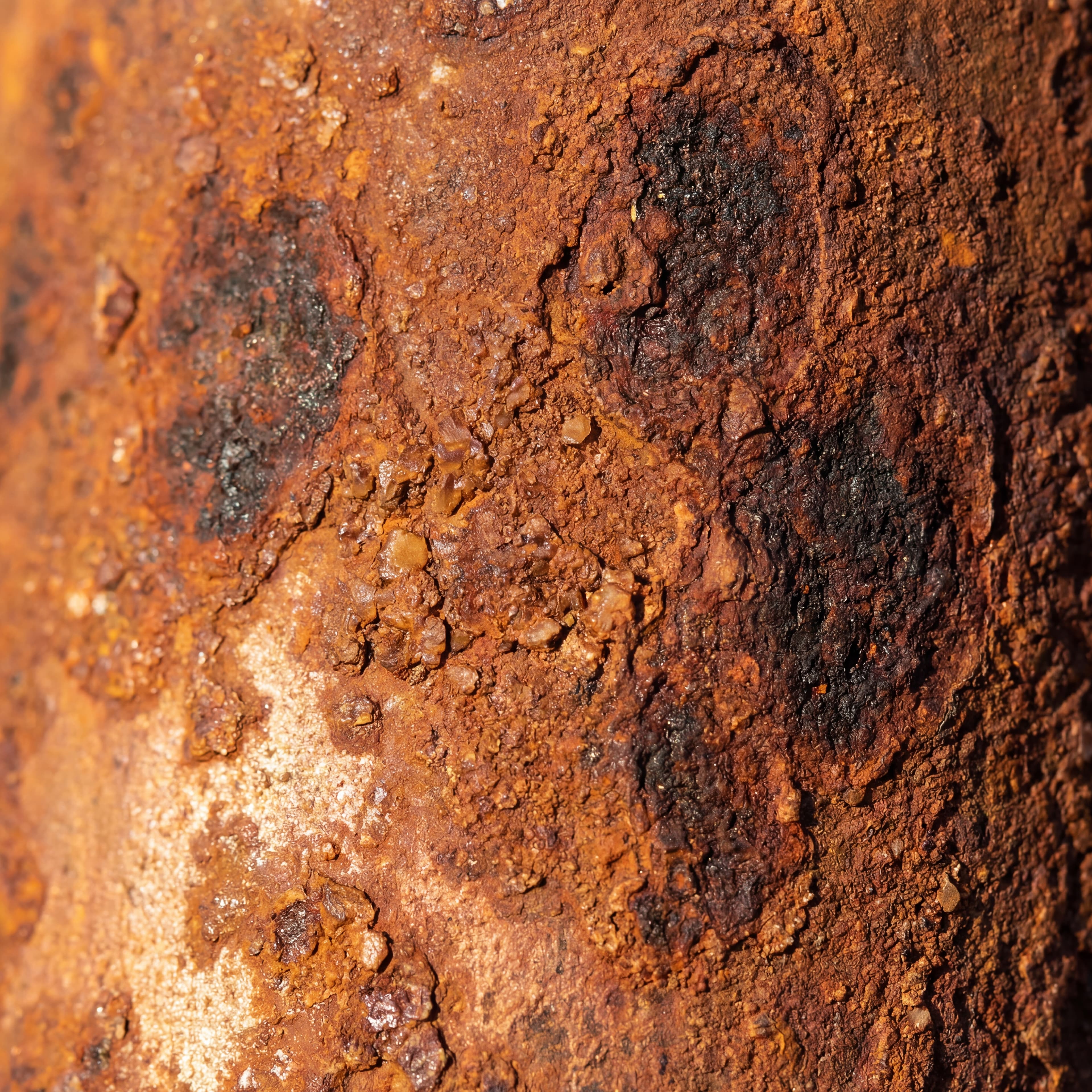 Wild Rust Copper